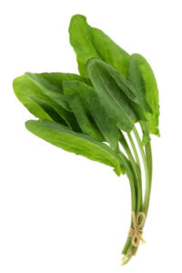 What Are Your Favorite (Unusual) Spring Greens — And What Do You Do With Them? Image